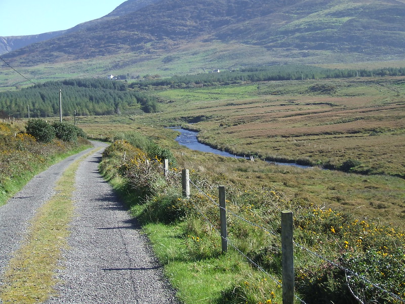 Dromid Holiday Homes